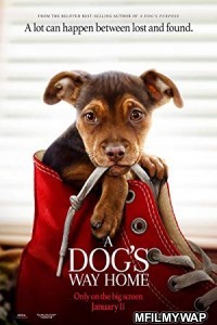 A Dogs Way Home (2019) Hindi Dubbed Movie