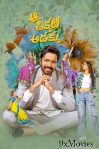 Aa Okkati Adakku (2024) Telugu Movie