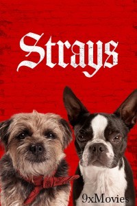 Strays (2023) ORG Hindi Dubbed Movie